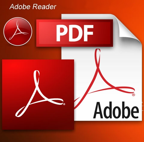 Adobe 8 standard free download